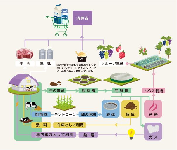 循環型酪農のイラスト