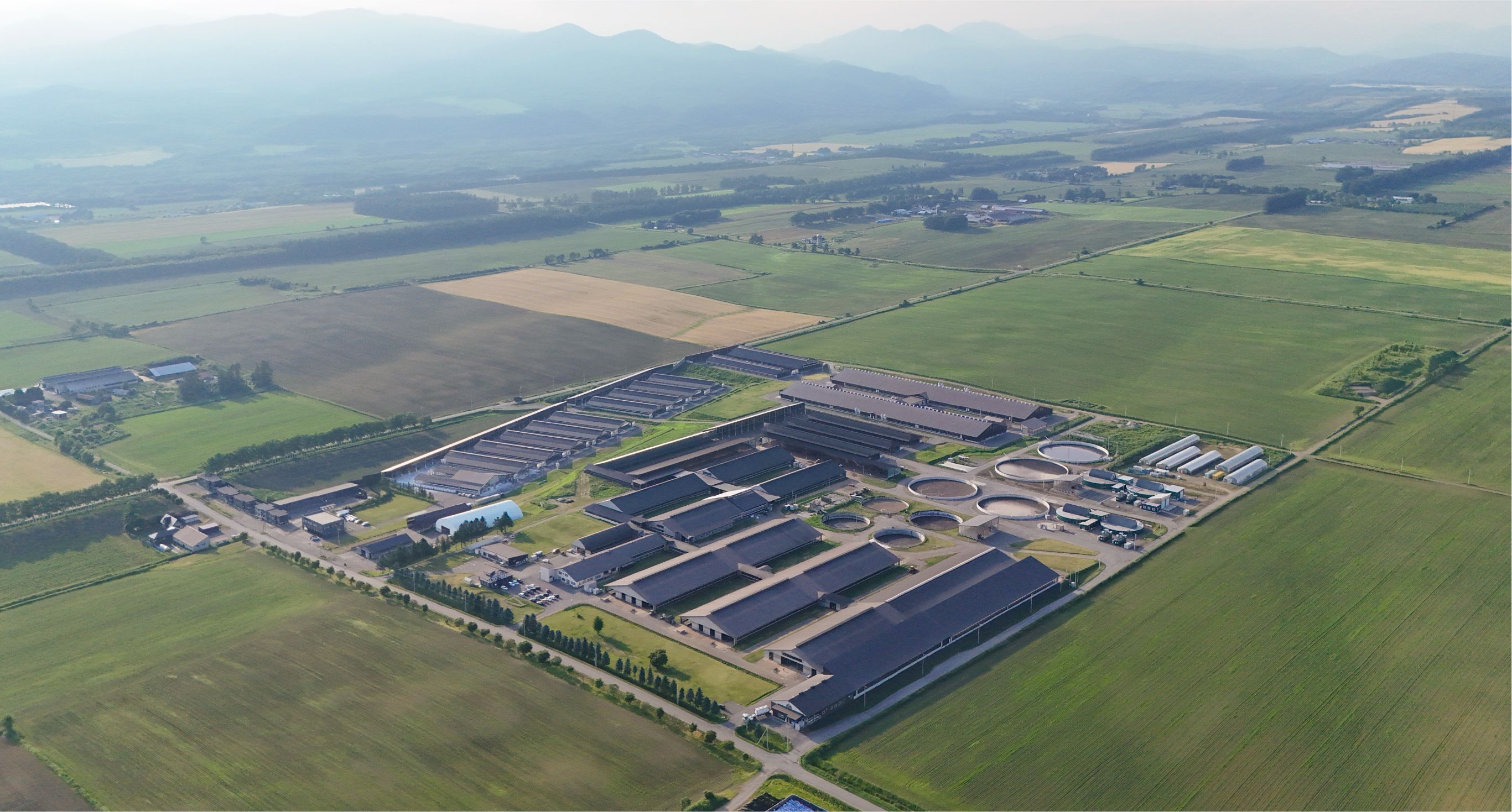 牛舎の空撮写真