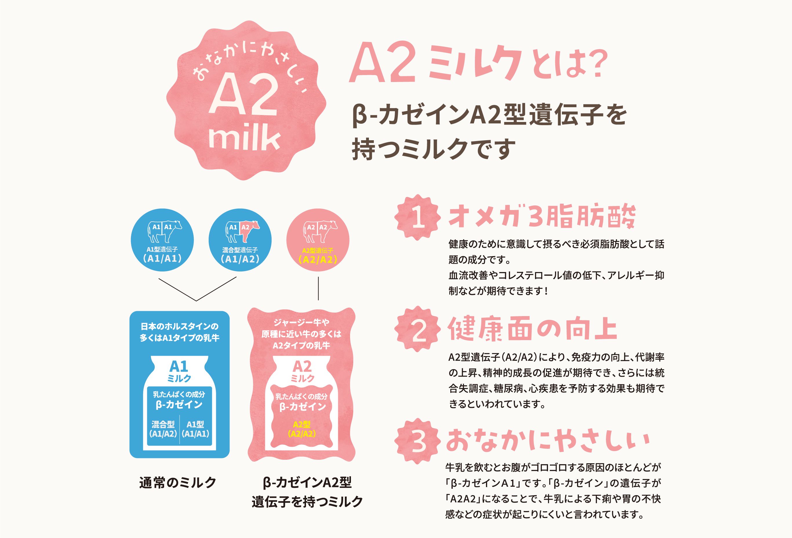 A2ミルクとは？