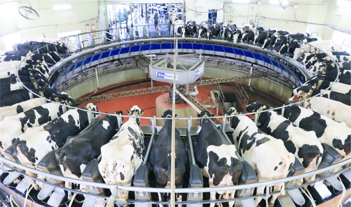 ロータリーパーラーの画像