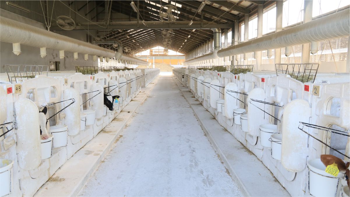 哺育・育成者の画像