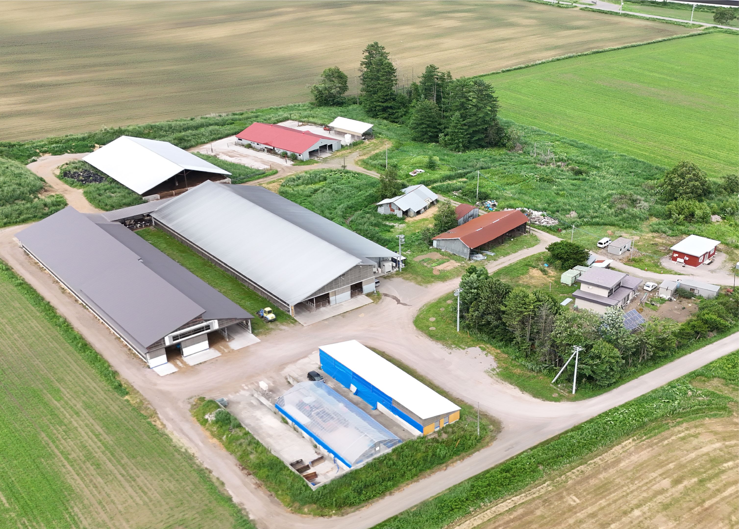 第2牧場の空撮写真