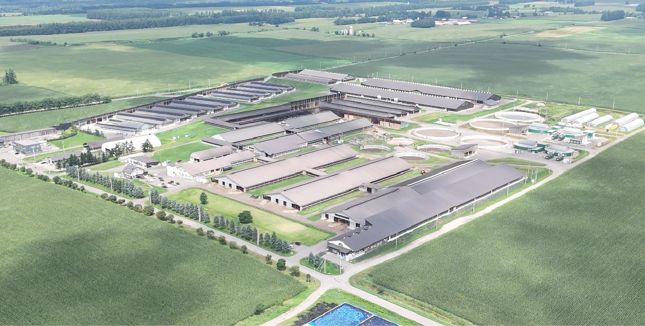 ドリームヒルの空撮写真